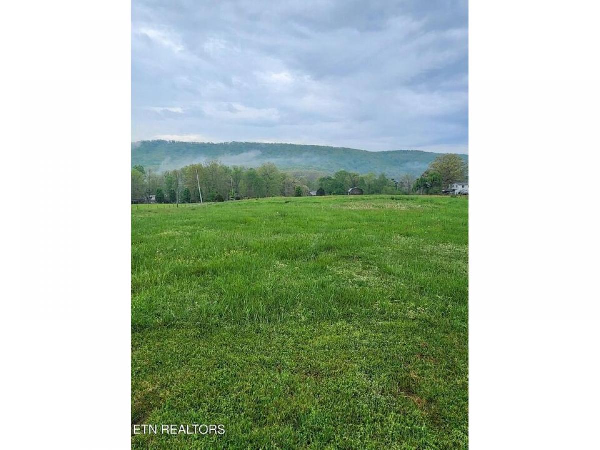 Picture of Residential Land For Sale in Rockwood, Tennessee, United States
