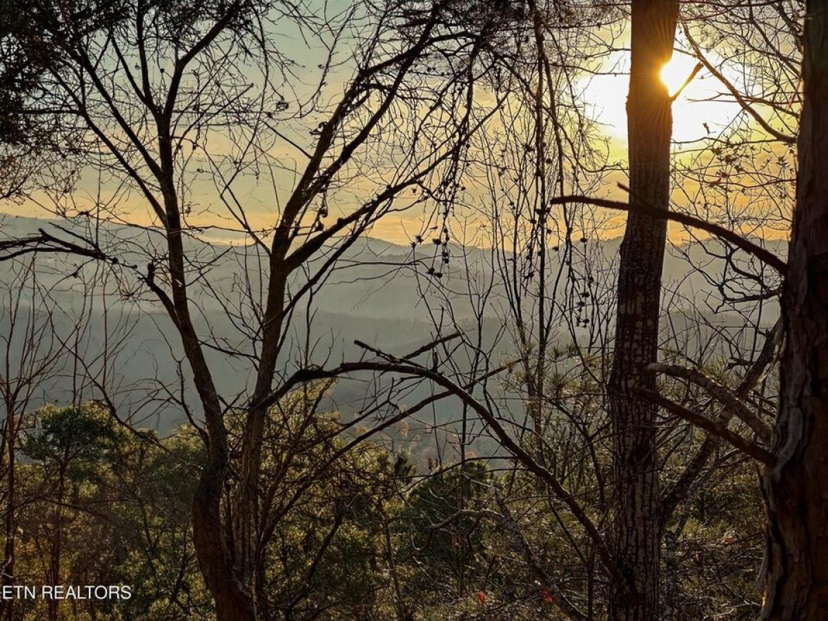 Picture of Residential Land For Sale in Pigeon Forge, Tennessee, United States