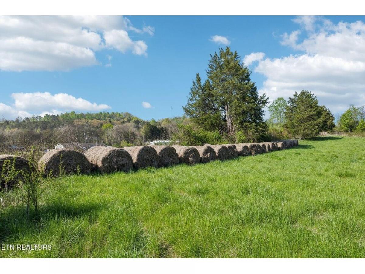 Picture of Residential Land For Sale in Kodak, Tennessee, United States