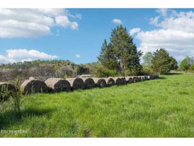 Residential Land For Sale in Kodak, Tennessee