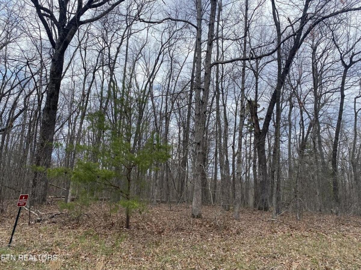 Picture of Residential Land For Sale in Monterey, Tennessee, United States