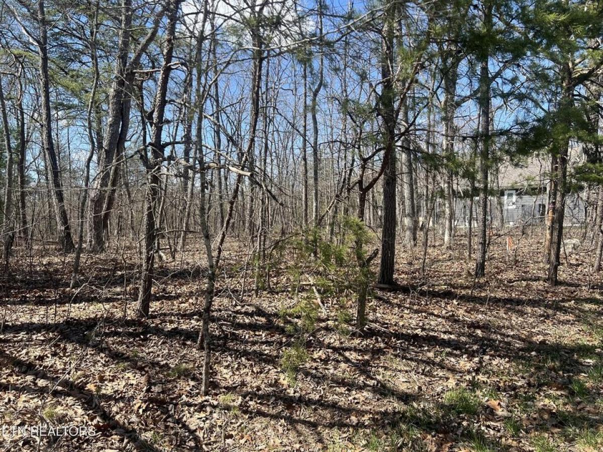 Picture of Residential Land For Sale in Fairfield Glade, Tennessee, United States