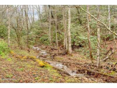 Residential Land For Sale in Butler, Tennessee