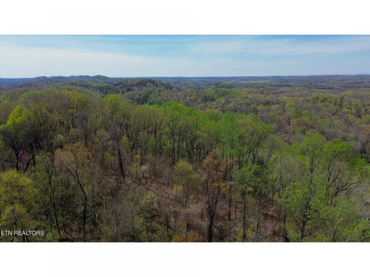 Picture of Residential Land For Sale in Vonore, Tennessee, United States