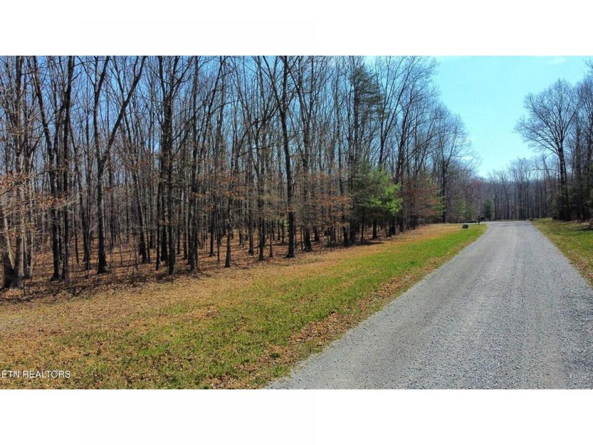 Picture of Residential Land For Sale in Spencer, Tennessee, United States