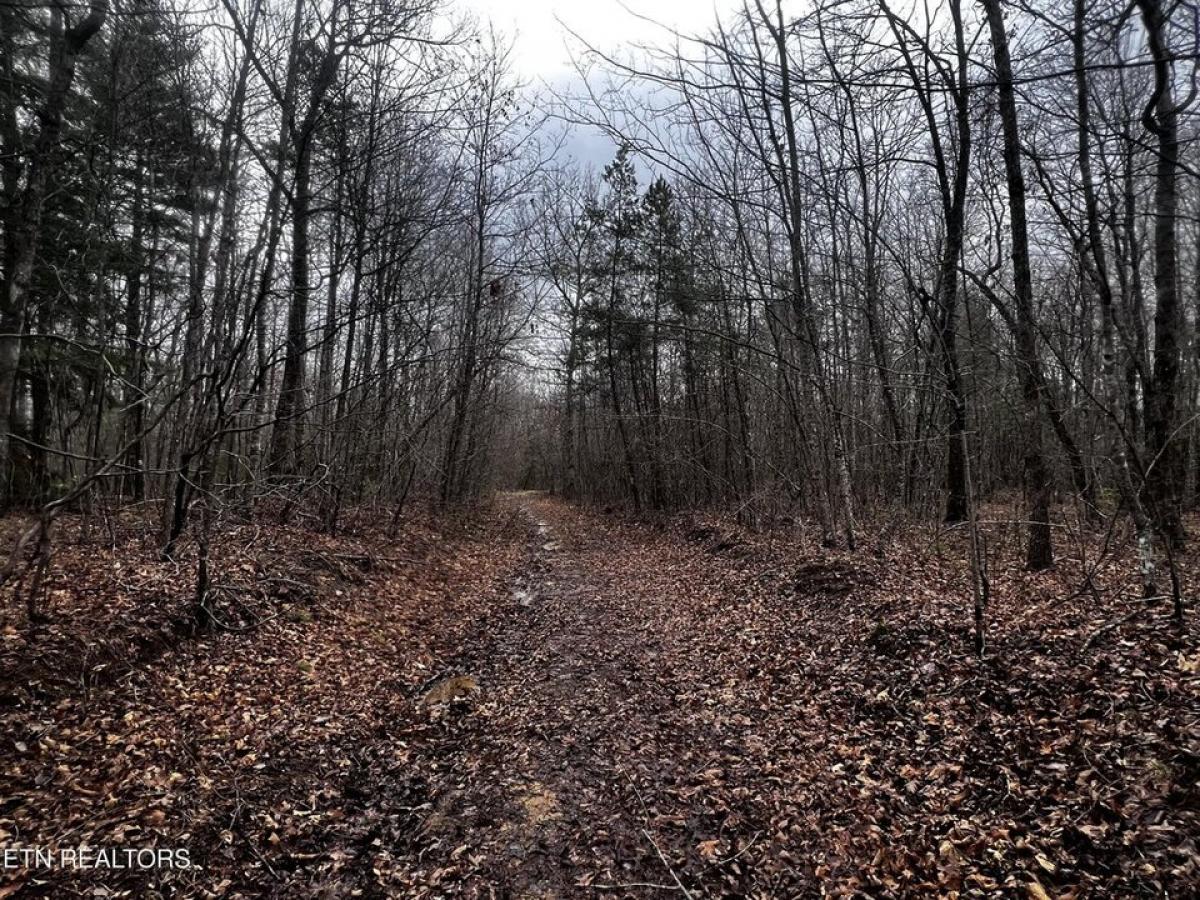 Picture of Residential Land For Sale in Jamestown, Tennessee, United States