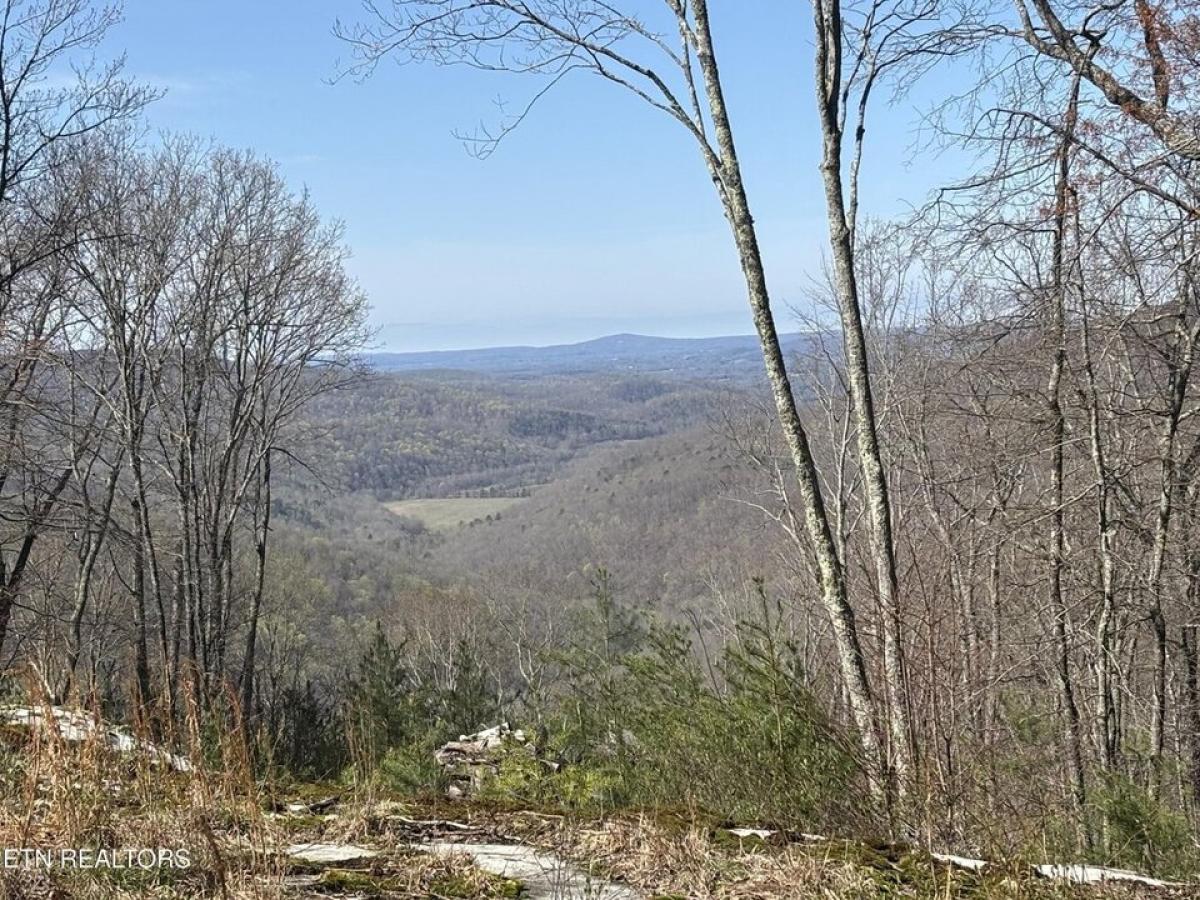 Picture of Residential Land For Sale in Monterey, Tennessee, United States