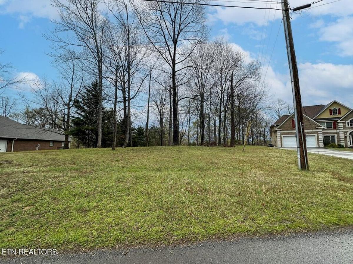 Picture of Residential Land For Sale in Dandridge, Tennessee, United States