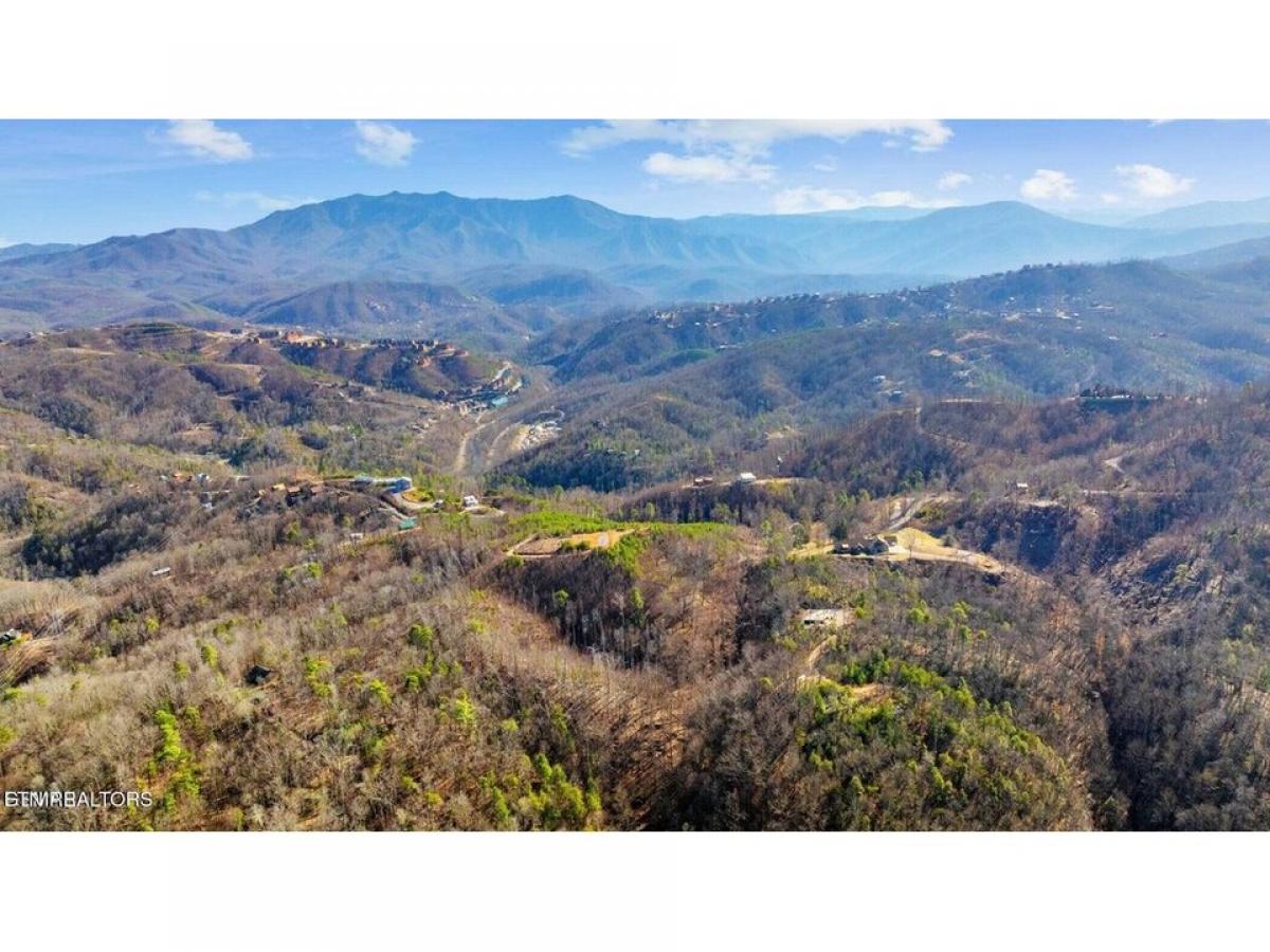 Picture of Residential Land For Sale in Gatlinburg, Tennessee, United States