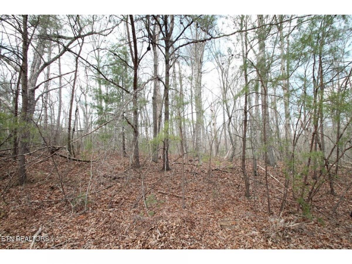 Picture of Residential Land For Rent in Fairfield Glade, Tennessee, United States