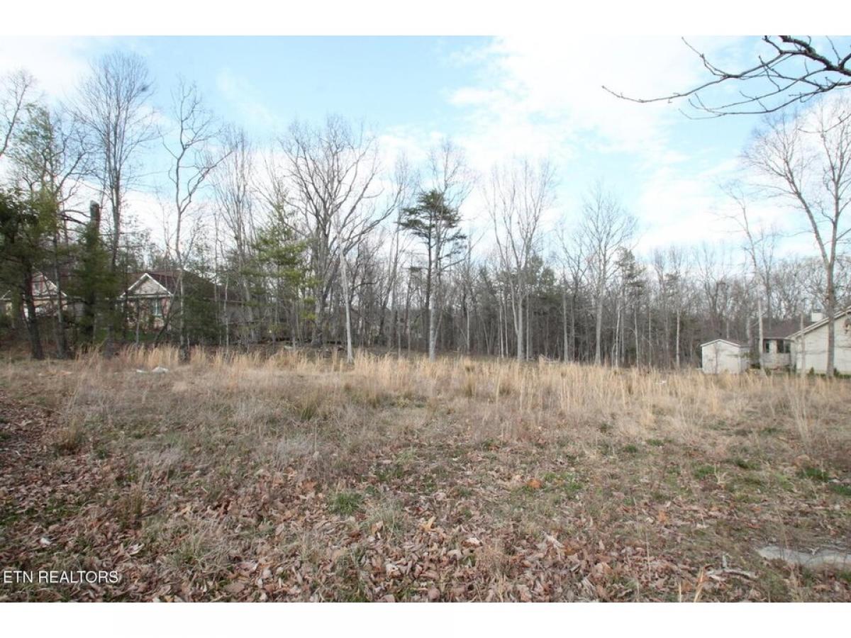 Picture of Residential Land For Sale in Fairfield Glade, Tennessee, United States