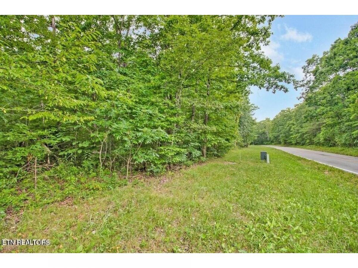 Picture of Residential Land For Sale in Pikeville, Tennessee, United States
