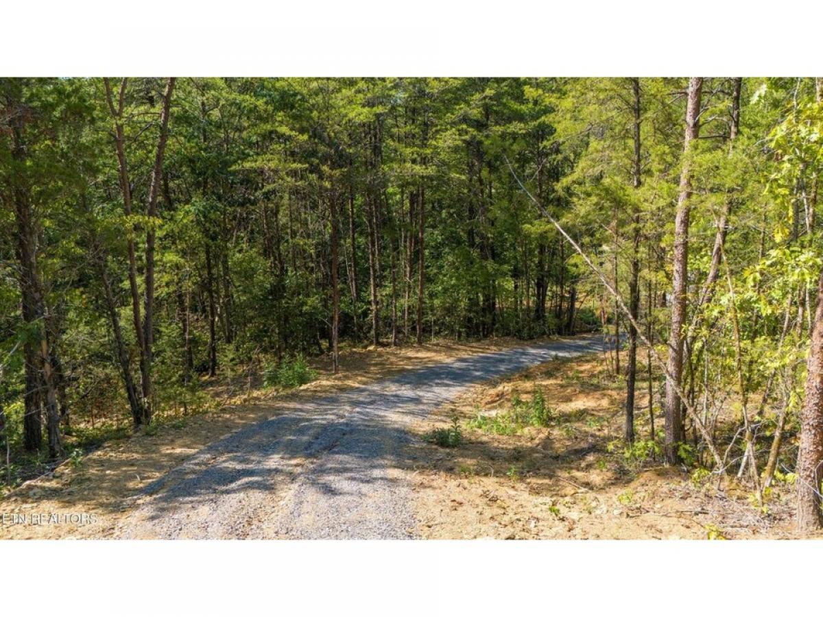 Picture of Residential Land For Sale in Maryville, Tennessee, United States