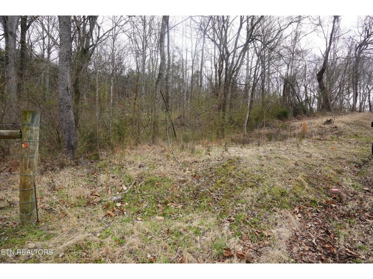 Picture of Residential Land For Sale in Sparta, Tennessee, United States