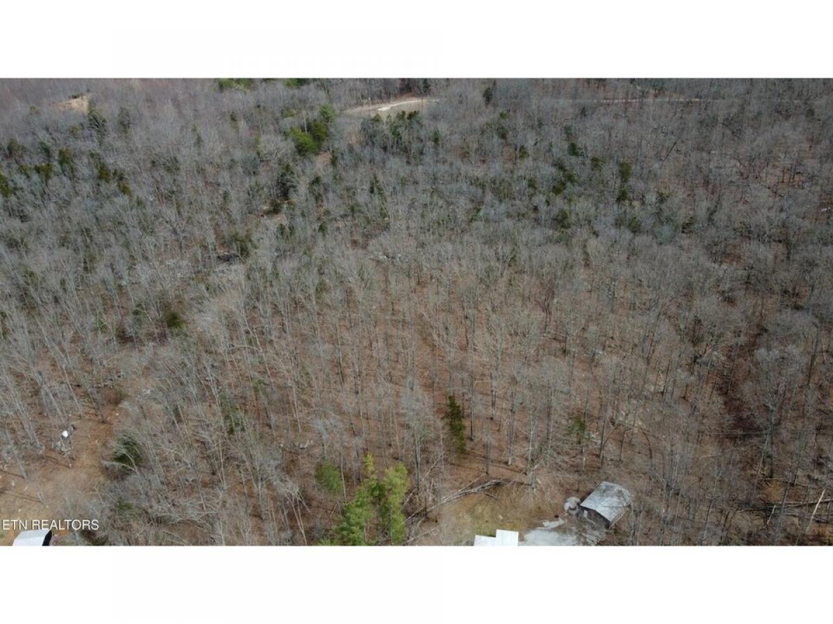 Picture of Residential Land For Sale in Sparta, Tennessee, United States
