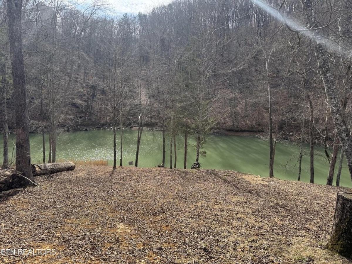 Picture of Residential Land For Sale in Speedwell, Tennessee, United States
