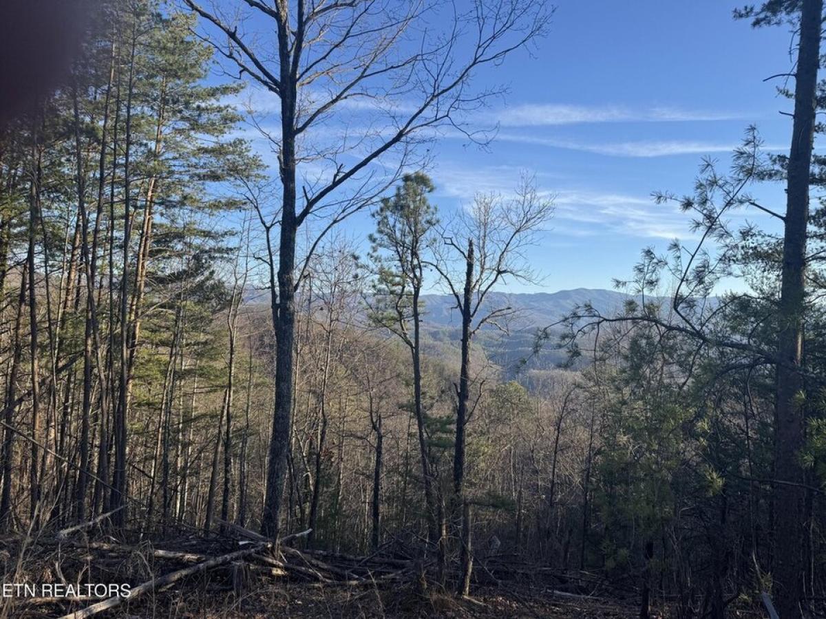 Picture of Residential Land For Sale in Townsend, Tennessee, United States