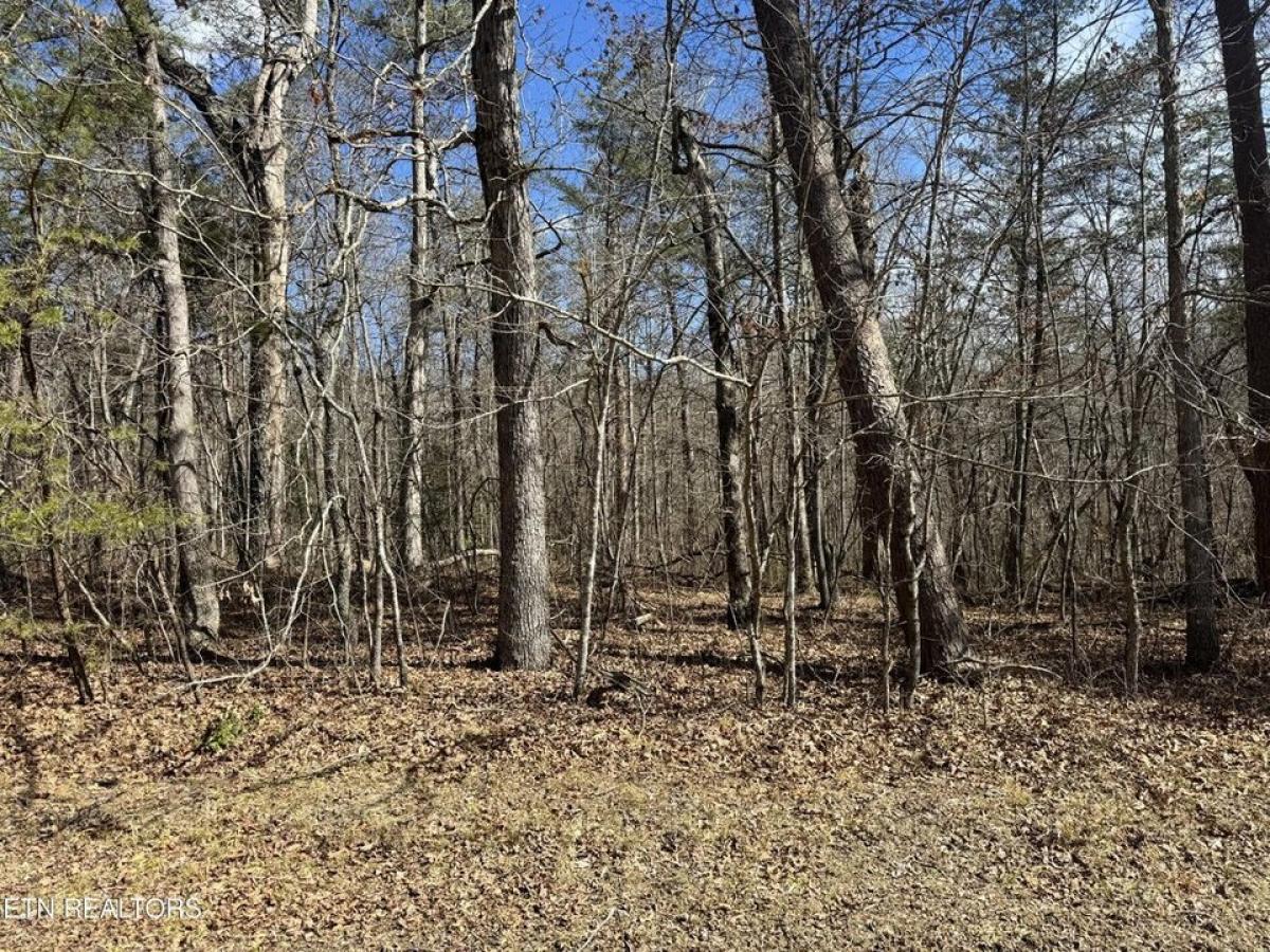 Picture of Residential Land For Sale in Monterey, Tennessee, United States