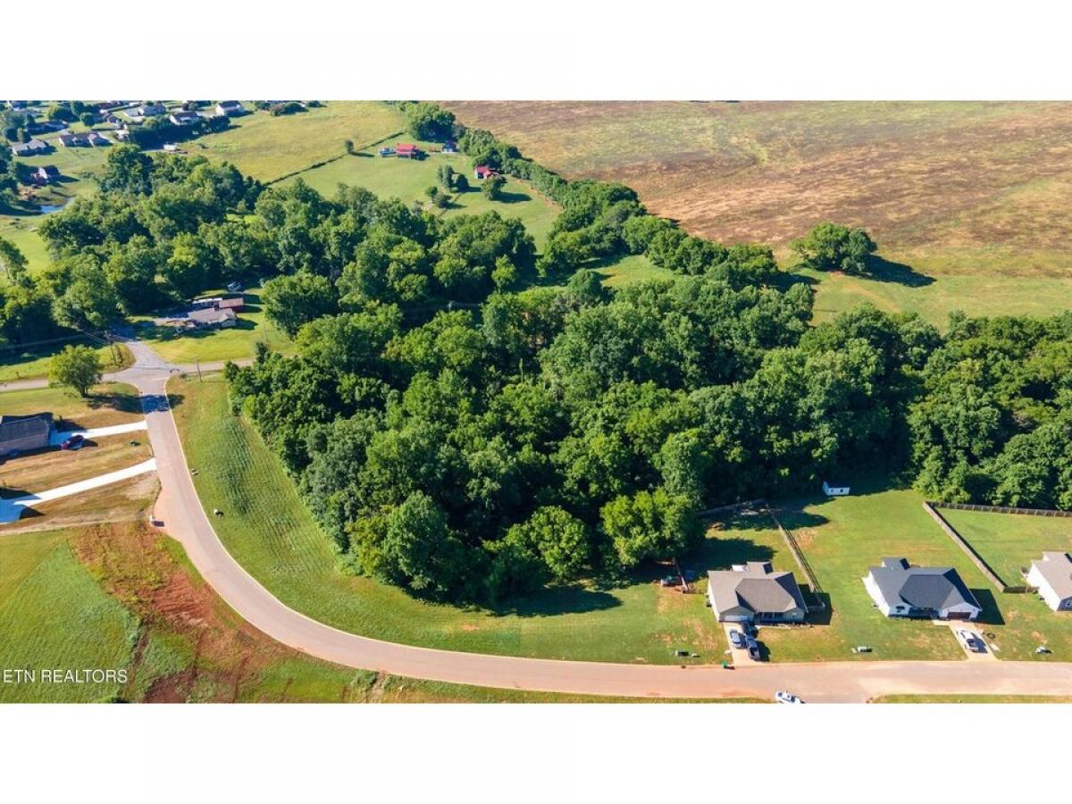 Picture of Residential Land For Sale in Maryville, Tennessee, United States