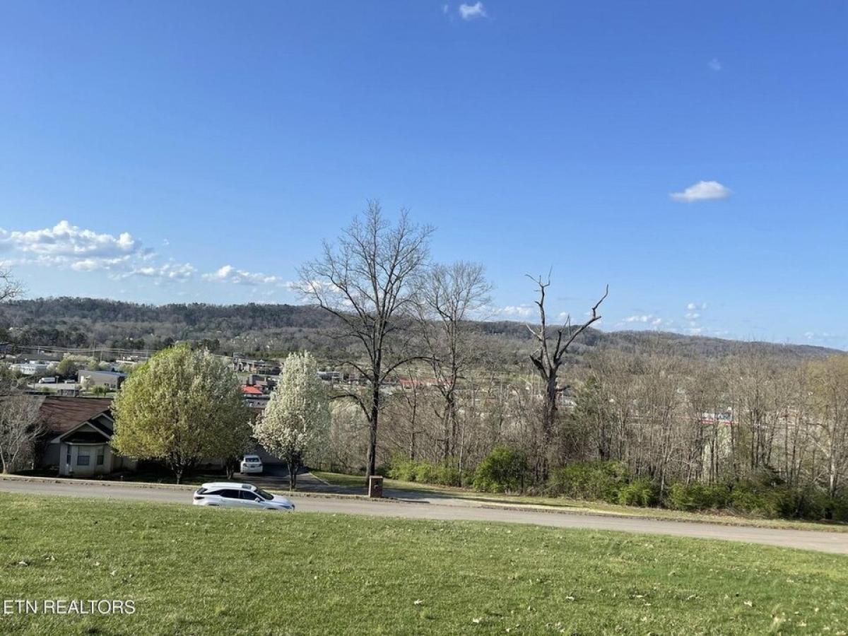 Picture of Residential Land For Sale in Seymour, Tennessee, United States