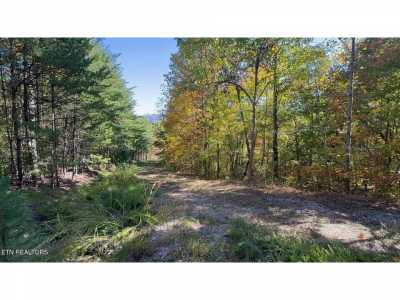Residential Land For Sale in Cosby, Tennessee