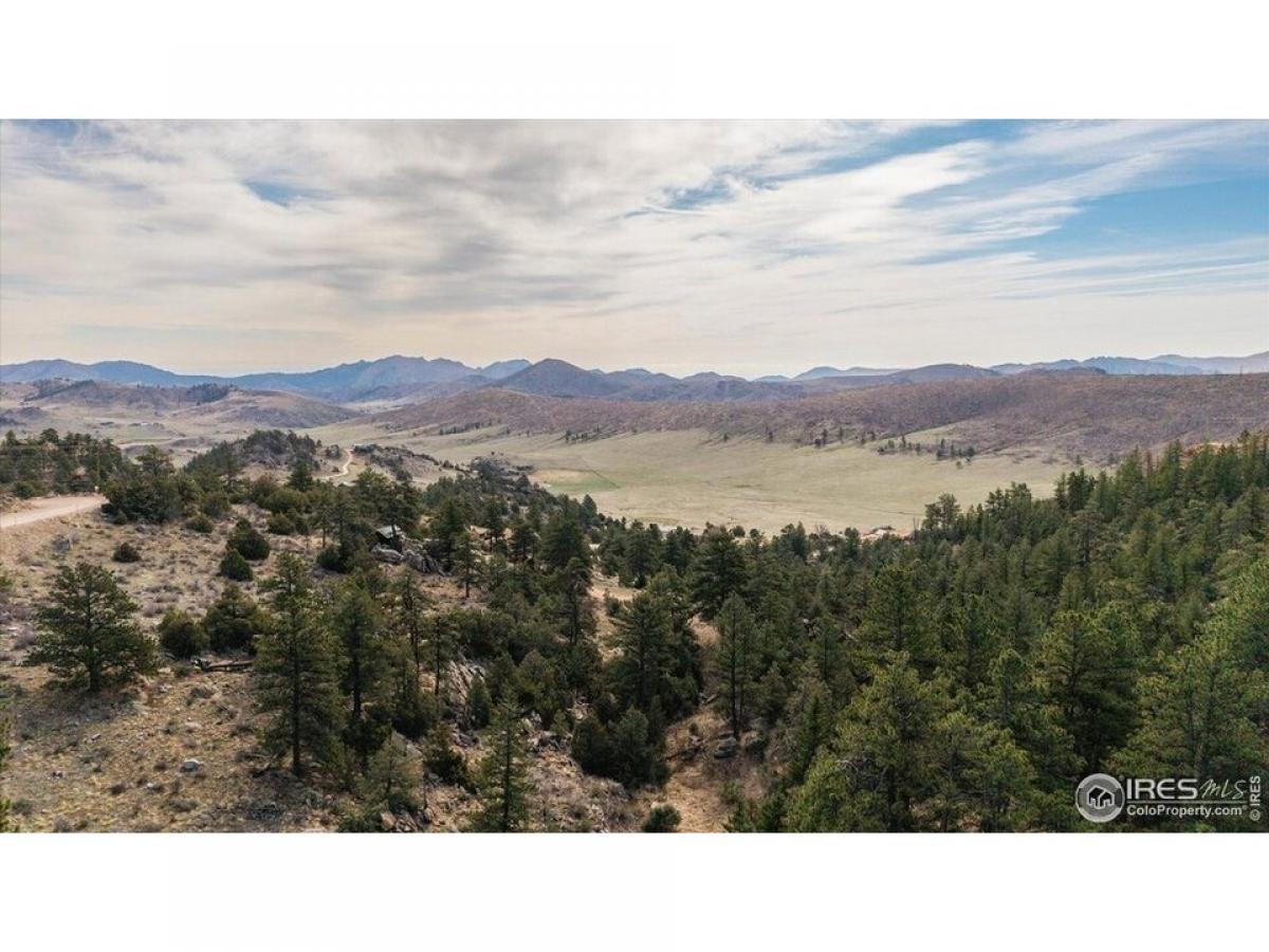 Picture of Residential Land For Sale in Livermore, Colorado, United States