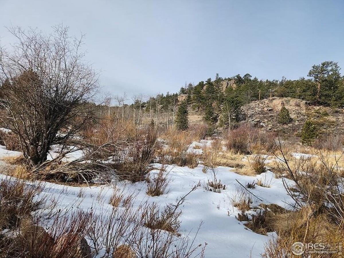 Picture of Residential Land For Sale in Red Feather Lakes, Colorado, United States