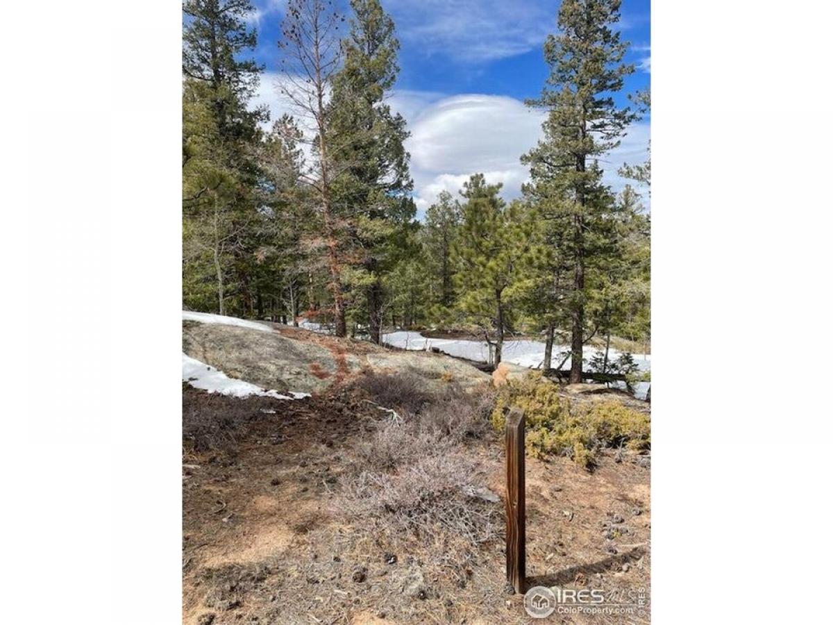 Picture of Residential Land For Sale in Red Feather Lakes, Colorado, United States