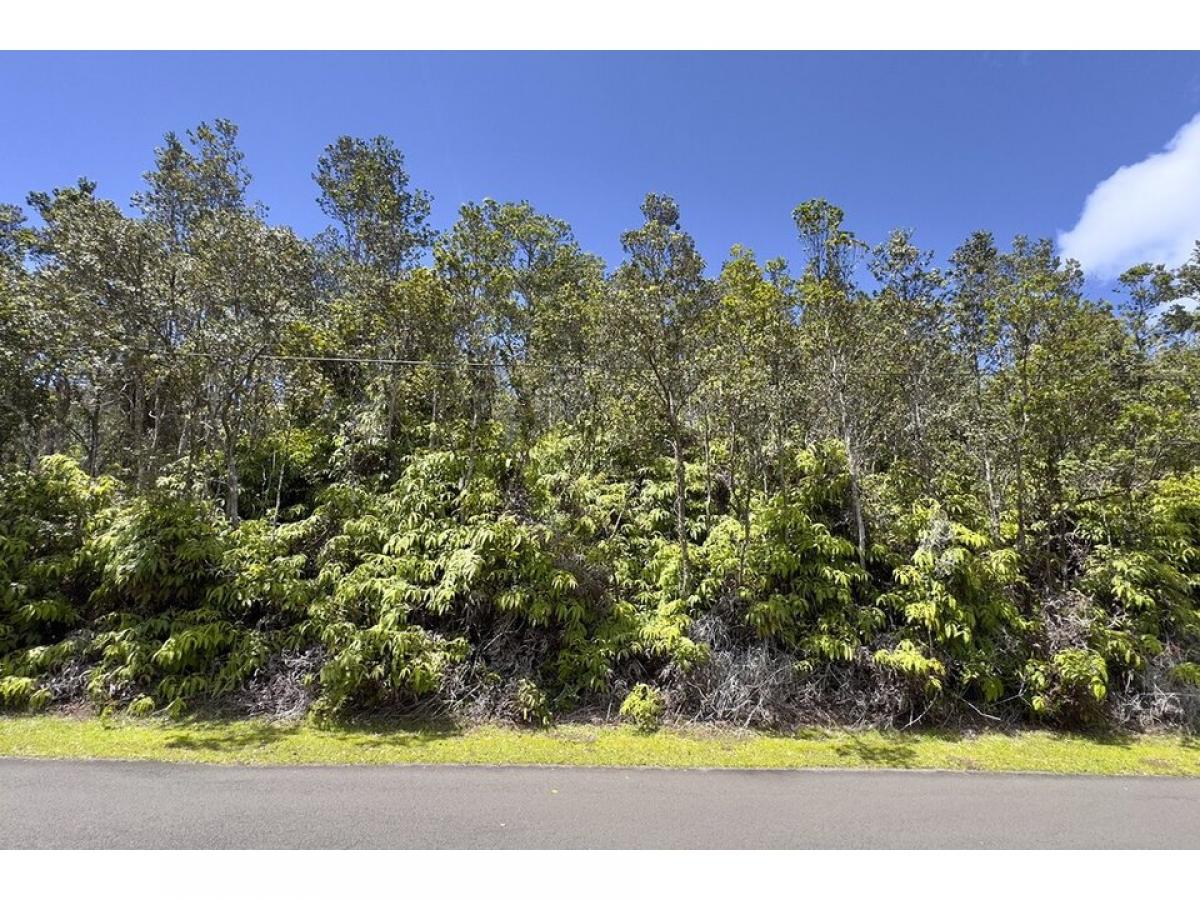 Picture of Residential Land For Sale in Volcano, Hawaii, United States