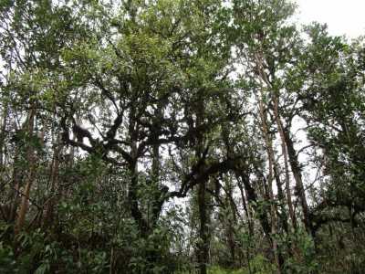 Residential Land For Sale in 