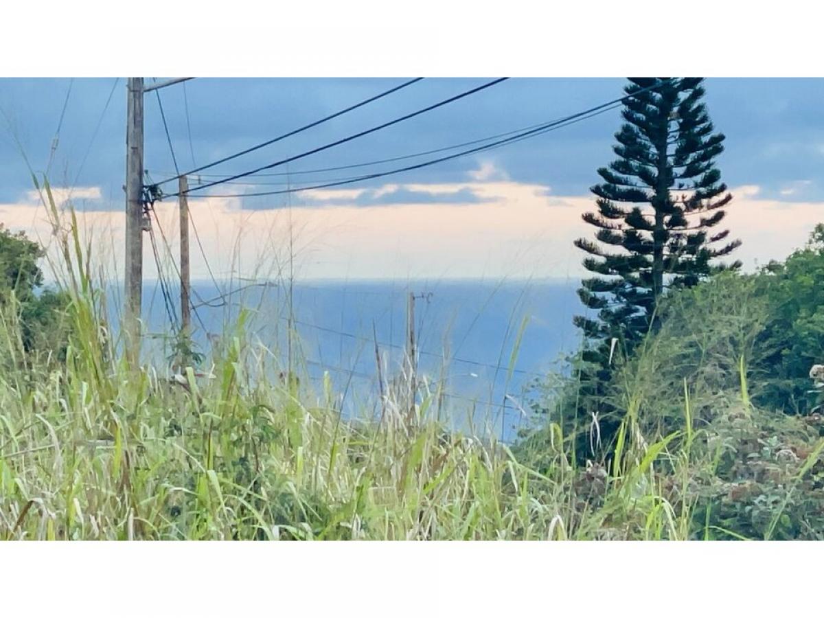 Picture of Residential Land For Sale in Naalehu, Hawaii, United States