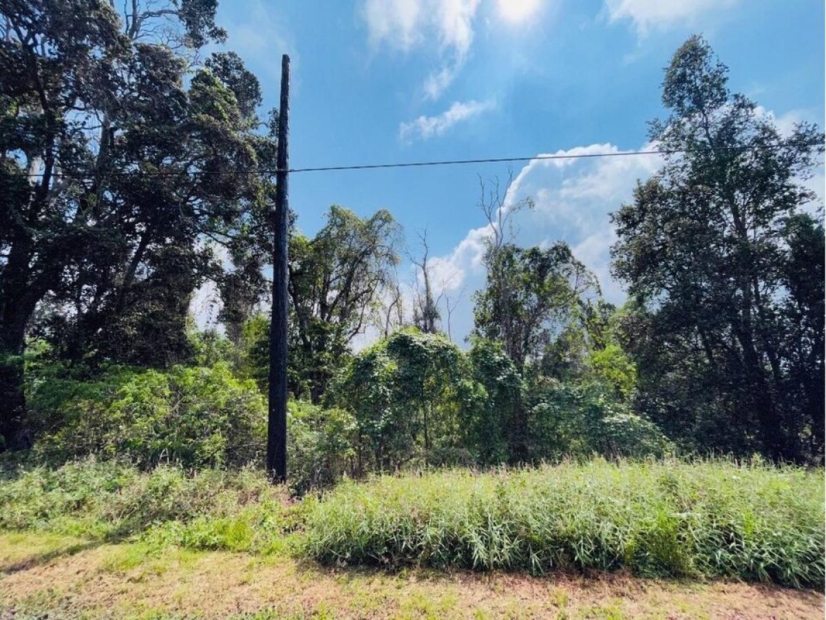 Picture of Residential Land For Sale in Ocean View, Hawaii, United States