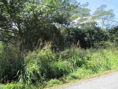 Residential Land For Sale in Keaau, Hawaii