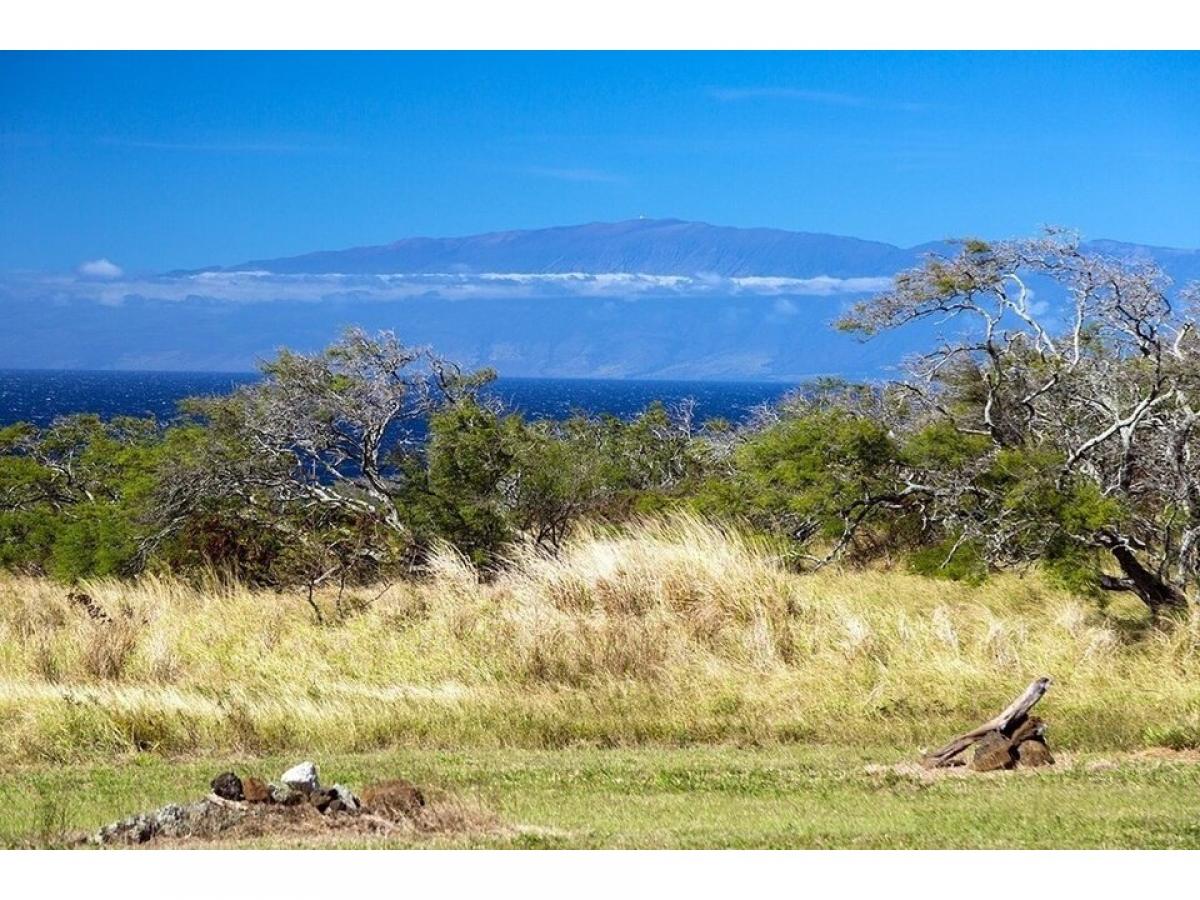 Picture of Residential Land For Sale in Hawi, Hawaii, United States