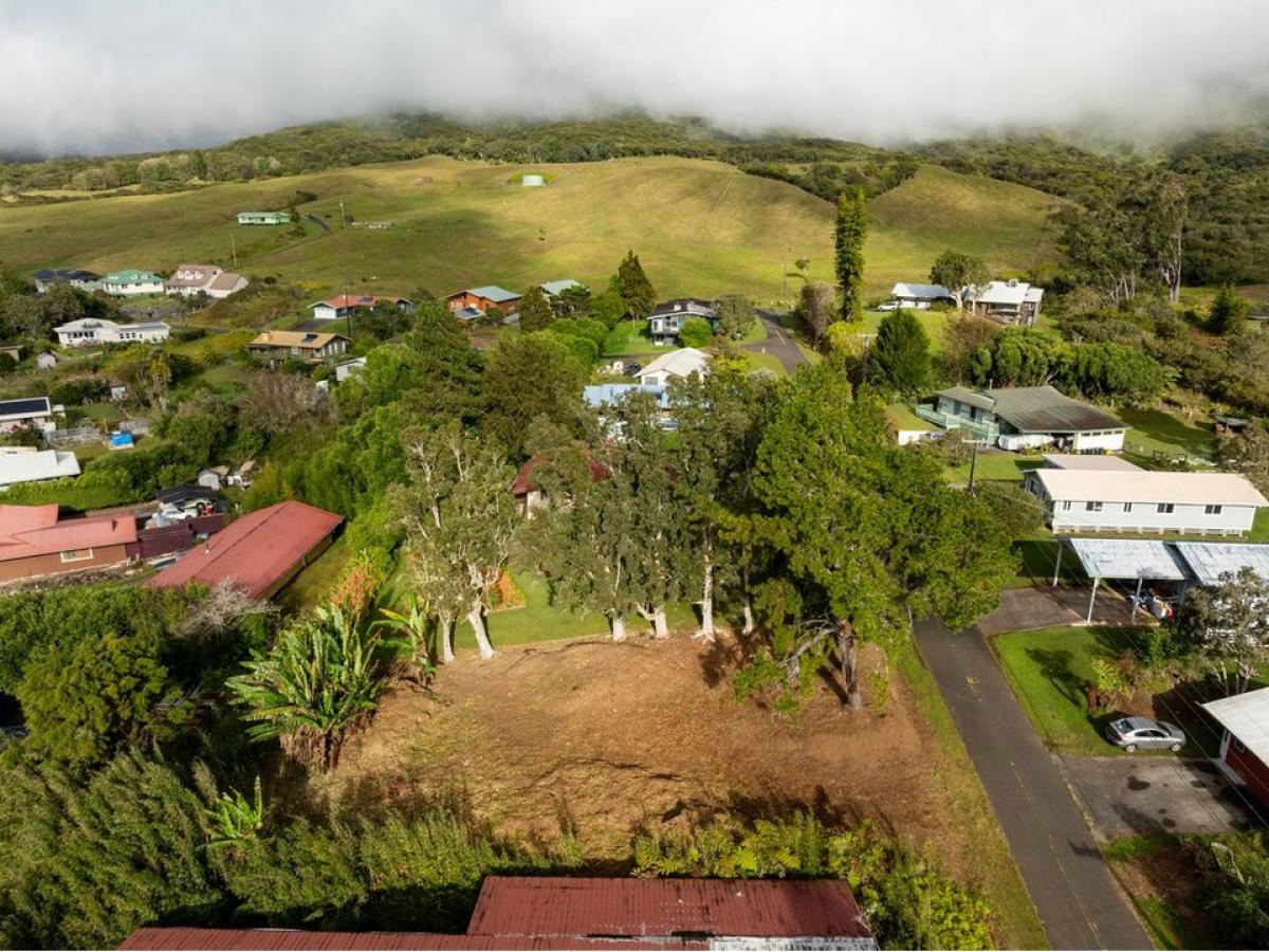 Picture of Residential Land For Sale in Kamuela, Hawaii, United States