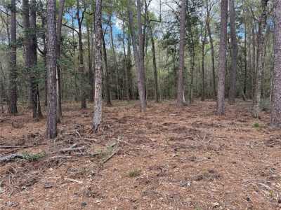 Residential Land For Sale in Dayton, Texas