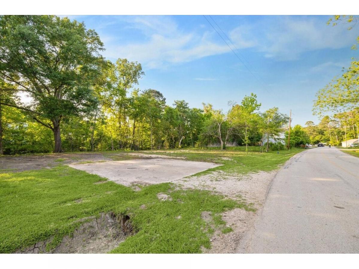 Picture of Residential Land For Sale in Willis, Texas, United States