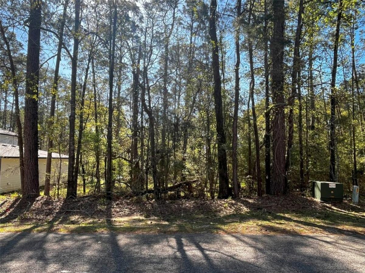 Picture of Residential Land For Sale in Coldspring, Texas, United States