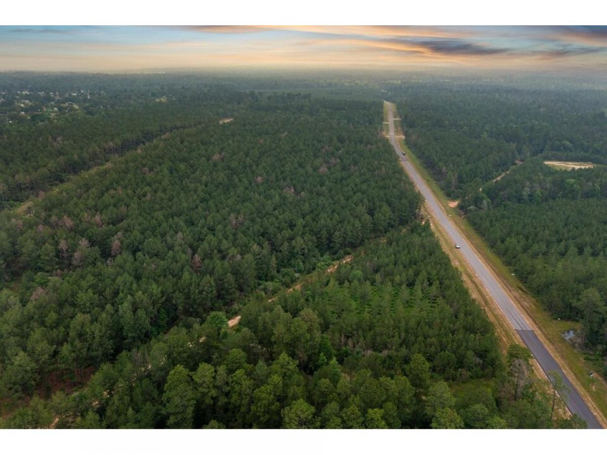 Picture of Residential Land For Sale in Willis, Texas, United States