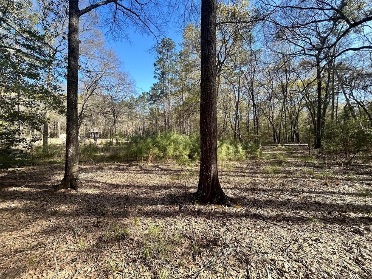 Picture of Residential Land For Sale in Plantersville, Texas, United States
