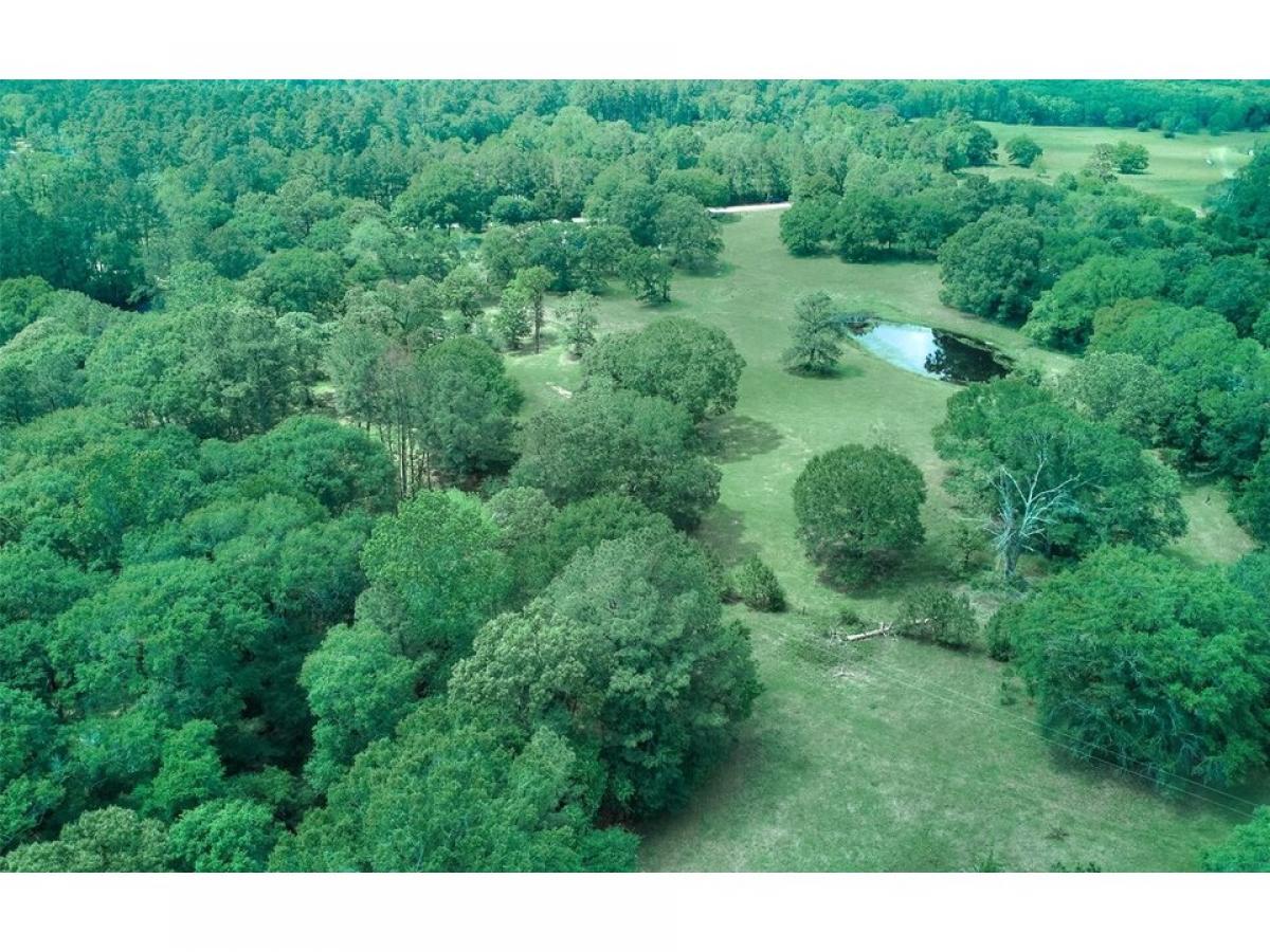 Picture of Residential Land For Sale in Montgomery, Texas, United States