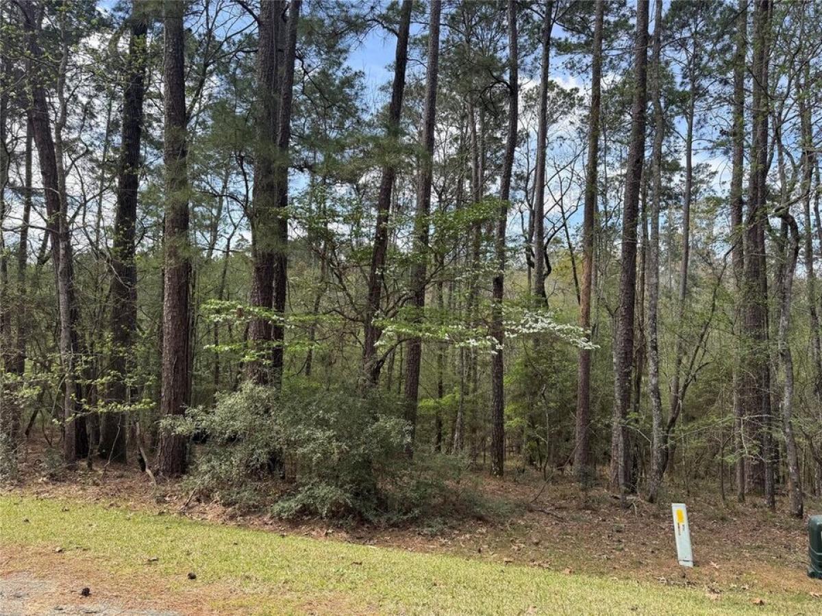 Picture of Residential Land For Sale in Coldspring, Texas, United States