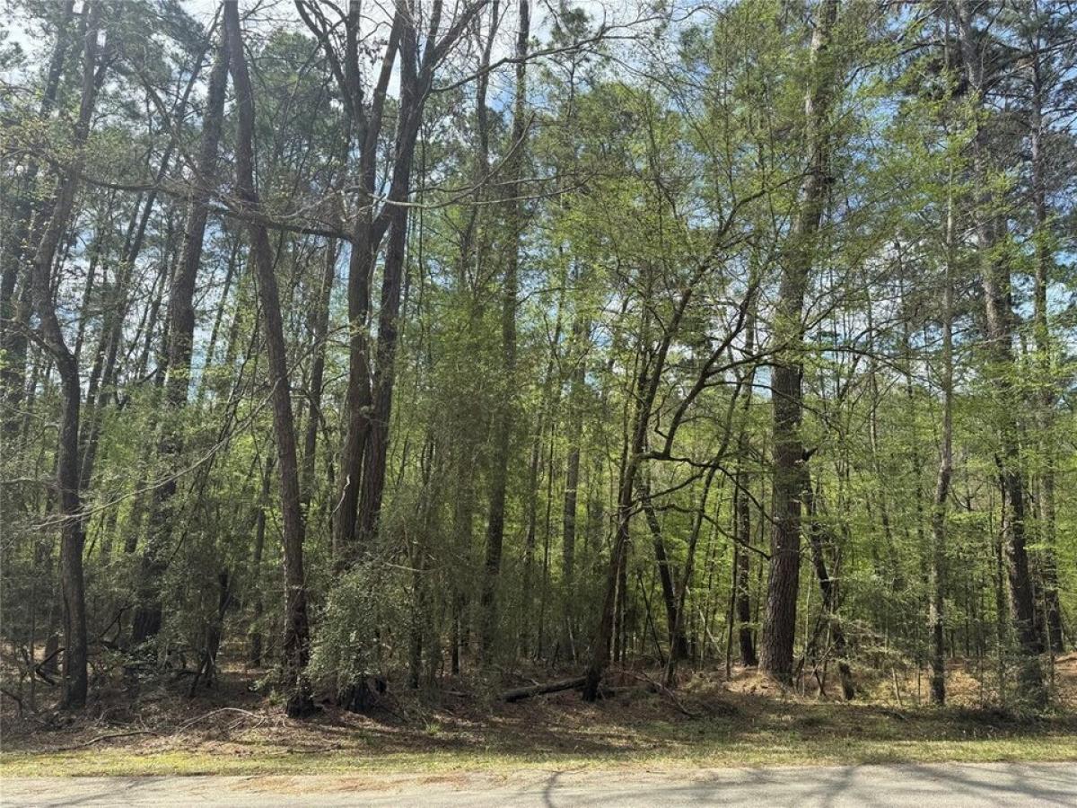 Picture of Residential Land For Sale in Coldspring, Texas, United States