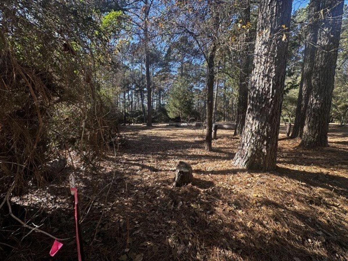 Picture of Residential Land For Sale in Waller, Texas, United States