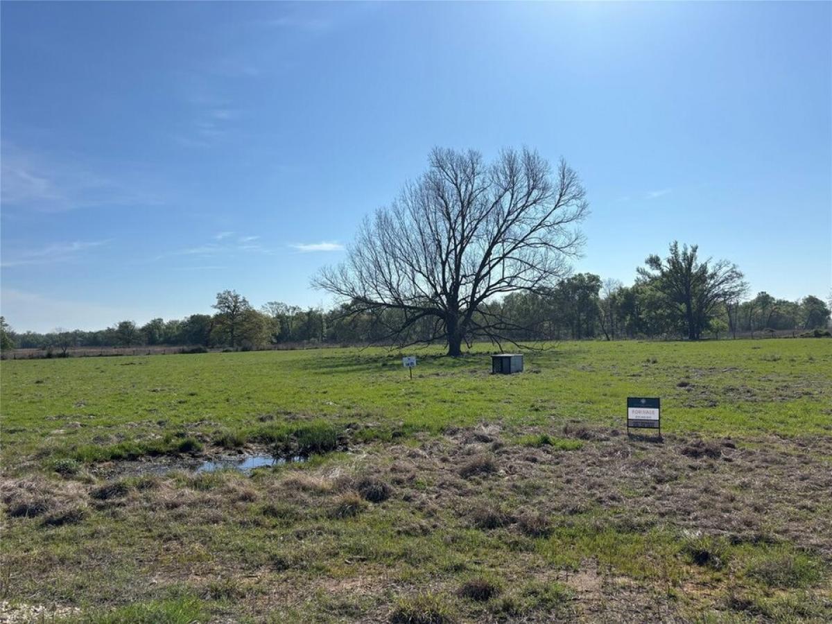 Picture of Residential Land For Sale in Centerville, Texas, United States