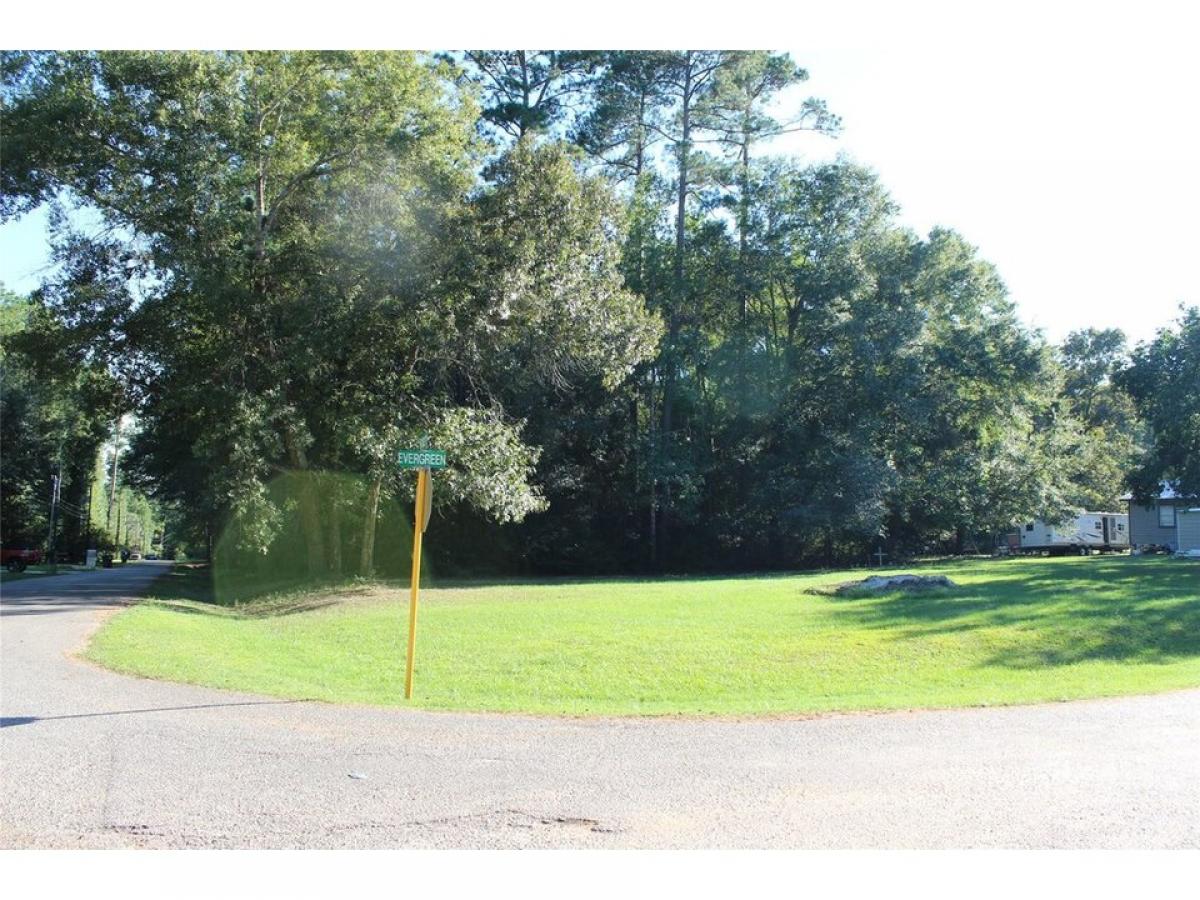 Picture of Residential Land For Sale in Montgomery, Texas, United States