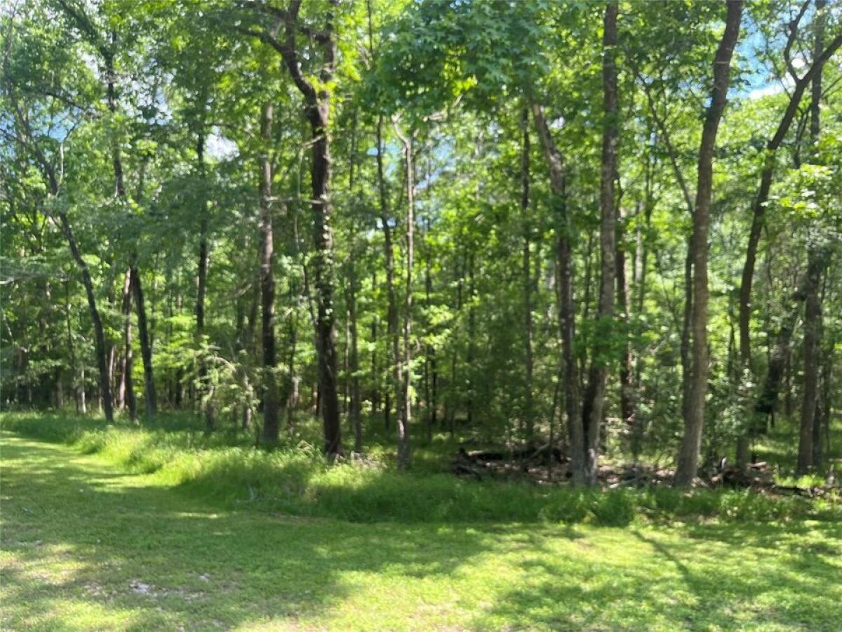 Picture of Residential Land For Sale in Coldspring, Texas, United States