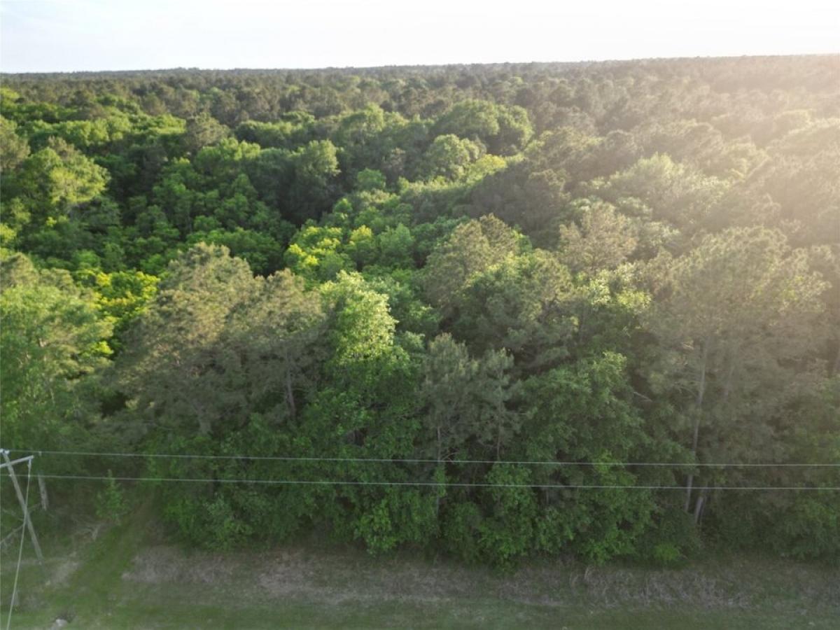 Picture of Residential Land For Sale in Waller, Texas, United States