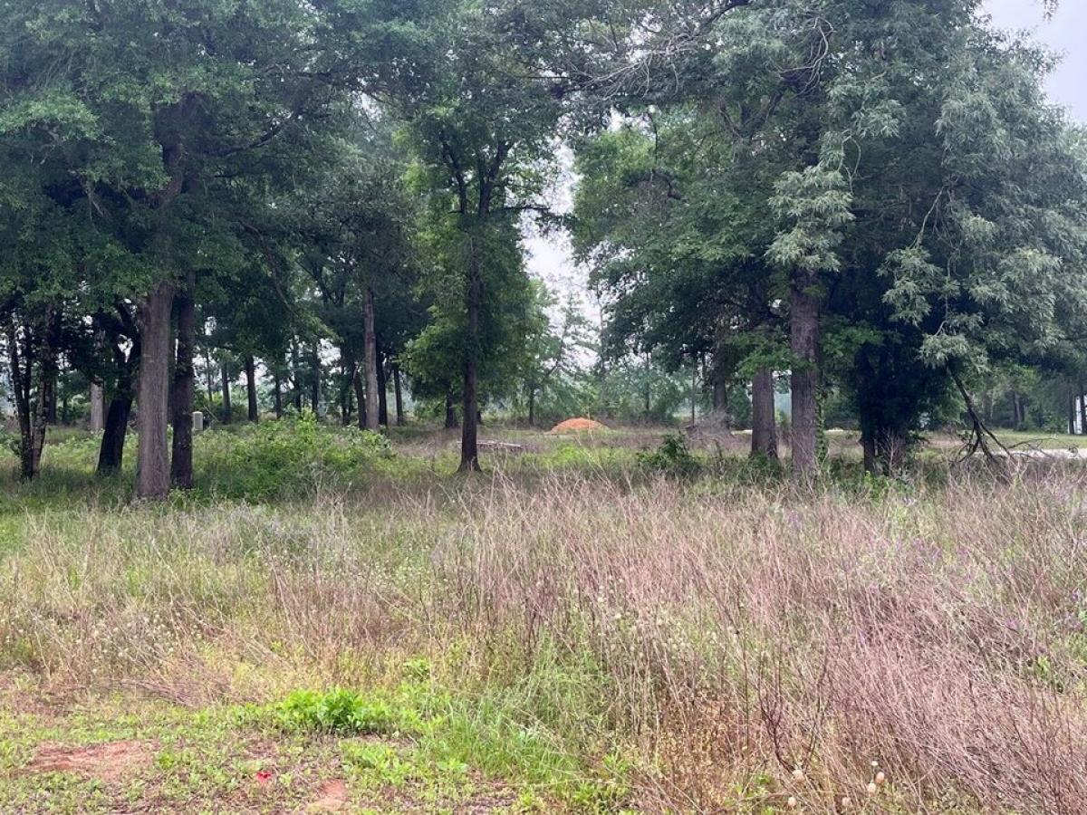 Picture of Residential Land For Sale in Willis, Texas, United States