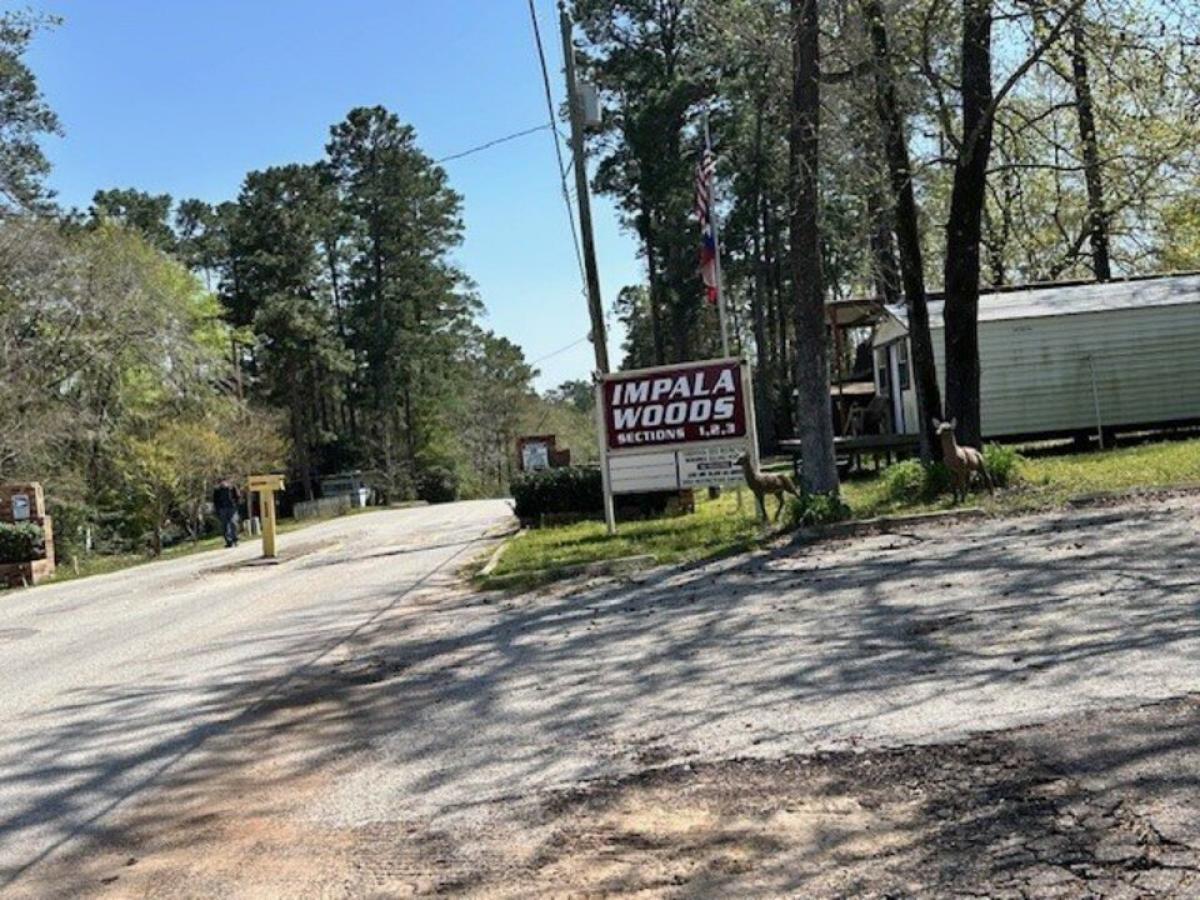 Picture of Home For Sale in Onalaska, Texas, United States